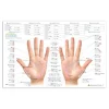 Modern Essentials Diagramme Reflexologie - 10 Edition