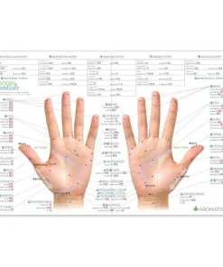 Modern Essentials Diagramme Reflexologie - 10 Edition